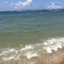 фото из отзыва ID 1351846