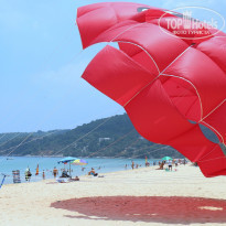 фото из отзыва ID 1351854