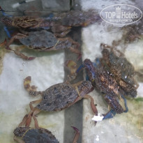 фото из отзыва ID 1351886