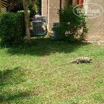 фото из отзыва ID 1351940