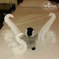 фото из отзыва ID 1351957