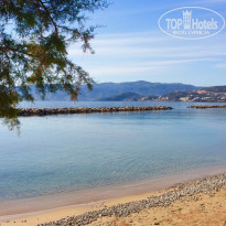 фото из отзыва ID 1352084