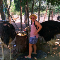 фото из отзыва ID 1352154