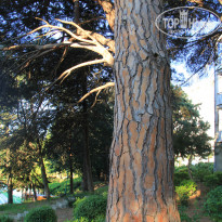 фото из отзыва ID 1352167