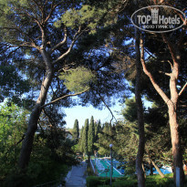 фото из отзыва ID 1352167