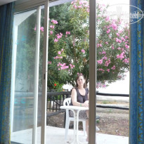 фото из отзыва ID 1352377