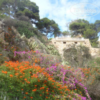 фото из отзыва ID 1352391