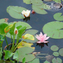 фото из отзыва ID 1352404