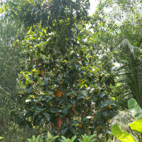 фото из отзыва ID 1352427