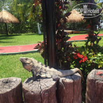 фото из отзыва ID 1352401