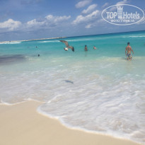 фото из отзыва ID 1352401