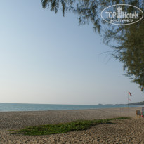 фото из отзыва ID 1352609