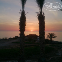 фото из отзыва ID 1352641