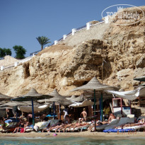 фото из отзыва ID 1352716