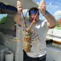 фото из отзыва ID 1352714