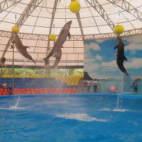 фото из отзыва ID 1352990