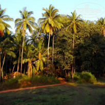 фото из отзыва ID 1353038