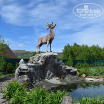 фото из отзыва ID 1353296