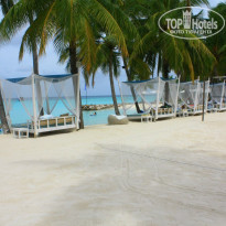 фото из отзыва ID 1353329