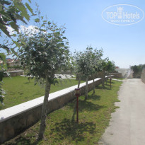 фото из отзыва ID 1353149