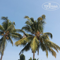 фото из отзыва ID 1352427