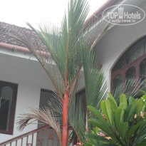 фото из отзыва ID 1352427