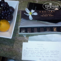 фото из отзыва ID 1352675