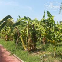 фото из отзыва ID 1353328