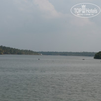 фото из отзыва ID 1353328