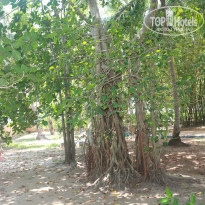 фото из отзыва ID 1353328