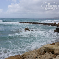 фото из отзыва ID 1353555