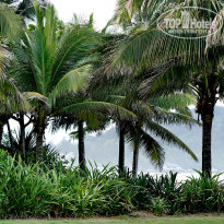 фото из отзыва ID 1353592