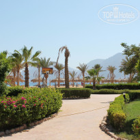 фото из отзыва ID 1353647