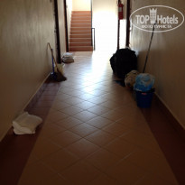 фото из отзыва ID 1353655