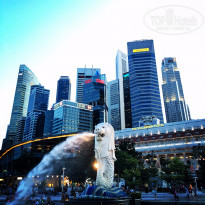 фото из отзыва ID 1353681