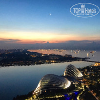 фото из отзыва ID 1353681