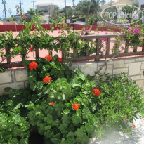 фото из отзыва ID 1353696