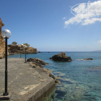 фото из отзыва ID 1353696