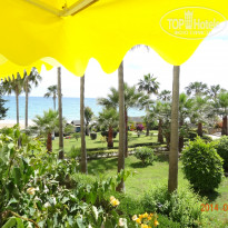 фото из отзыва ID 1353767