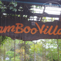 фото из отзыва ID 1353870