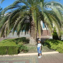 фото из отзыва ID 1353935