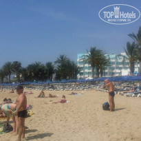 фото из отзыва ID 1354056