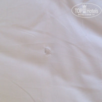 фото из отзыва ID 1354114