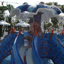 фото из отзыва ID 1354120