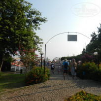 фото из отзыва ID 1354160