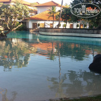 фото из отзыва ID 1354183