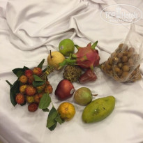 фото из отзыва ID 1354542