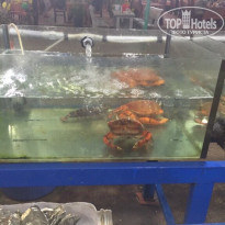 фото из отзыва ID 1354542