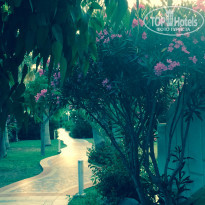 фото из отзыва ID 1354567