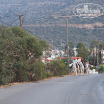 фото из отзыва ID 1354653